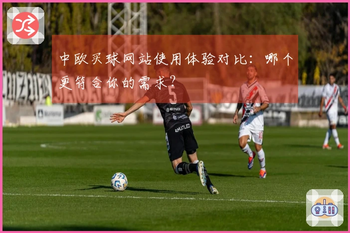 中欧买球网站使用体验对比:哪个更符合你的需求?