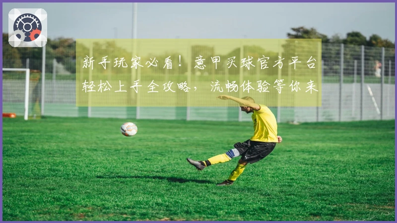 新手玩家必看!意甲买球官方平台轻松上手全攻略,流畅体验等你来