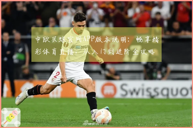 中欧买球官网APP版本说明：畅享精彩体育直播，从入门到进阶全攻略