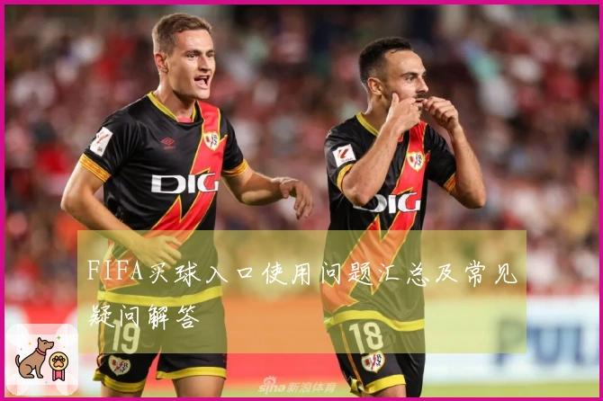 FIFA买球入口使用问题汇总及常见疑问解答
