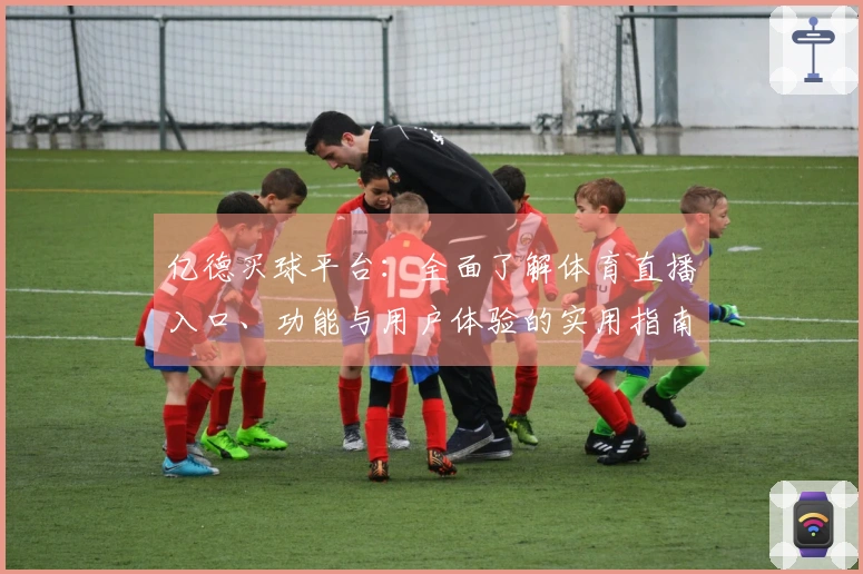 亿德买球平台：全面了解体育直播入口、功能与用户体验的实用指南
