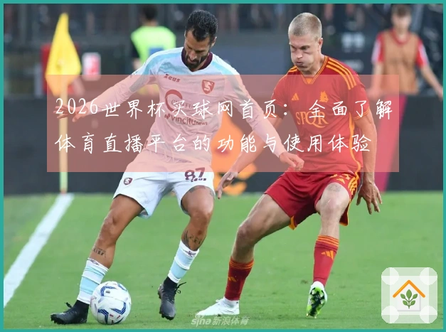 2026世界杯买球网首页：全面了解体育直播平台的功能与使用体验