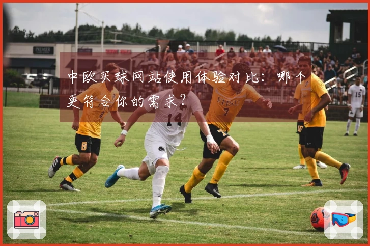 中欧买球网站使用体验对比：哪个更符合你的需求？