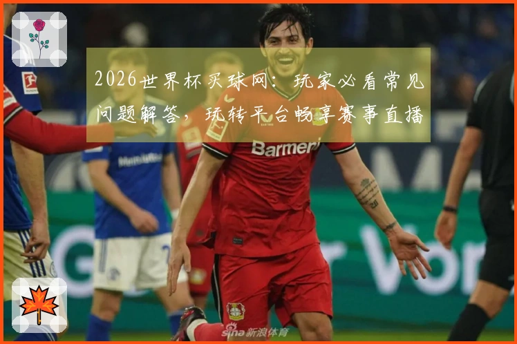 2026世界杯买球网：玩家必看常见问题解答，玩转平台畅享赛事直播