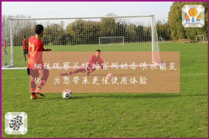 细致观察买球站官网的各项功能变化，为您带来更佳使用体验