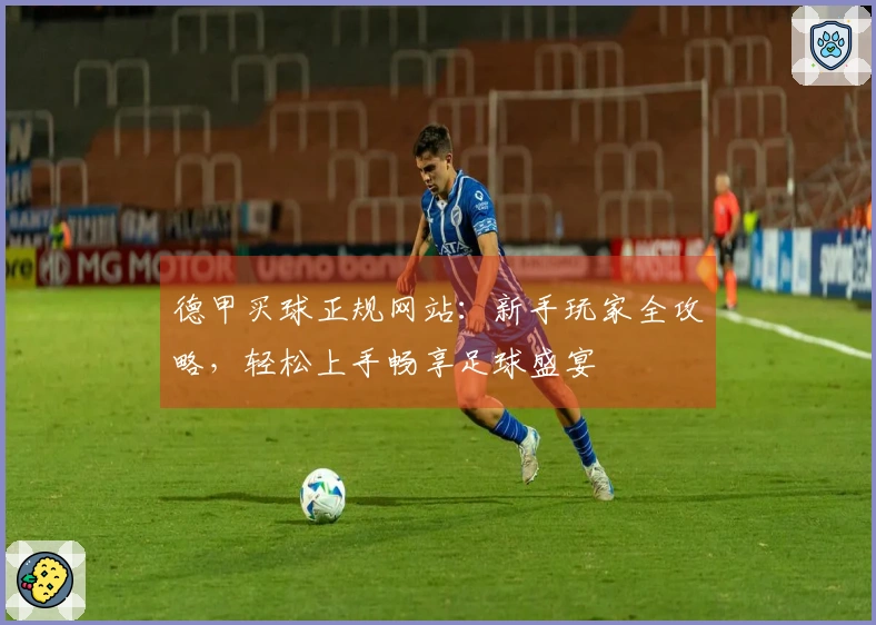 德甲买球正规网站：新手玩家全攻略，轻松上手畅享足球盛宴