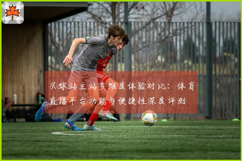 买球站主站多维度体验对比：体育直播平台功能与便捷性深度评测